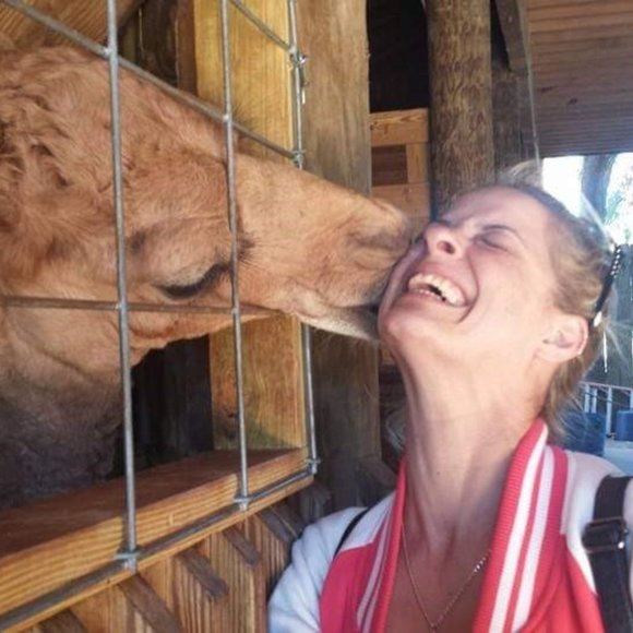 Juli  Ambassador II, 5⭐seller - Picture 4 of 16